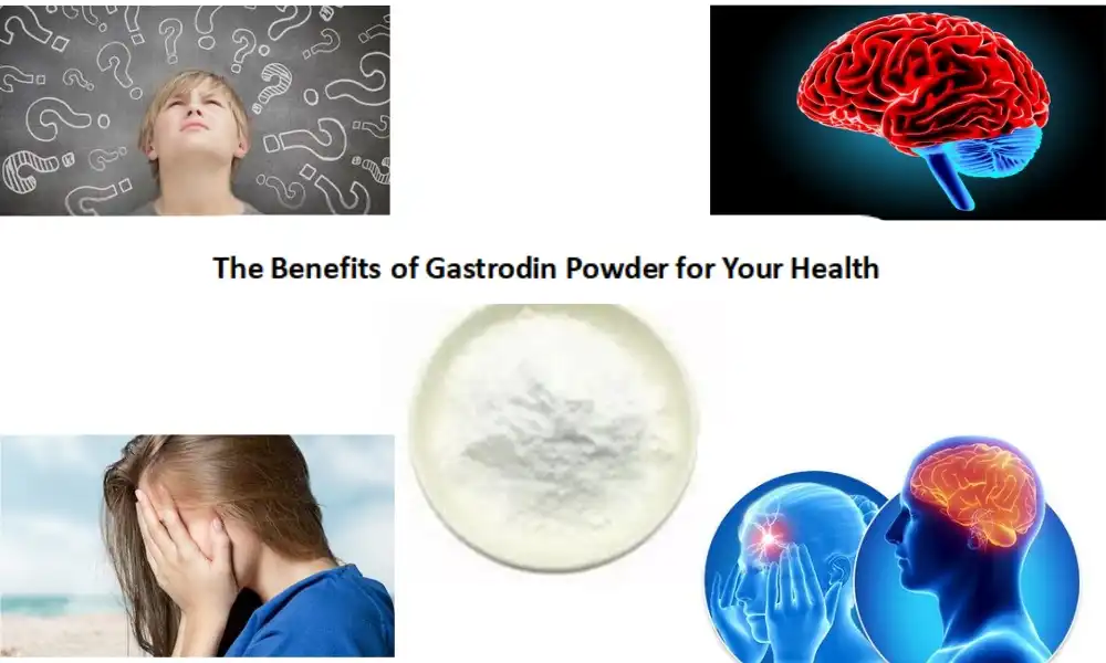 The Benefits of Gastrodin Powder for Your Health